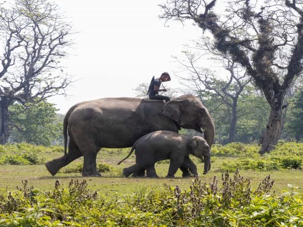 Day Tours in Nepal